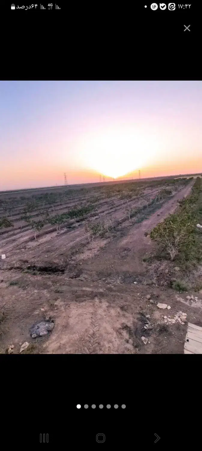 باسلام یک هکتار باغ پسته با ۶ساعت اب|فروش زمین و ملک کلنگی|فیروزه, |دیوار