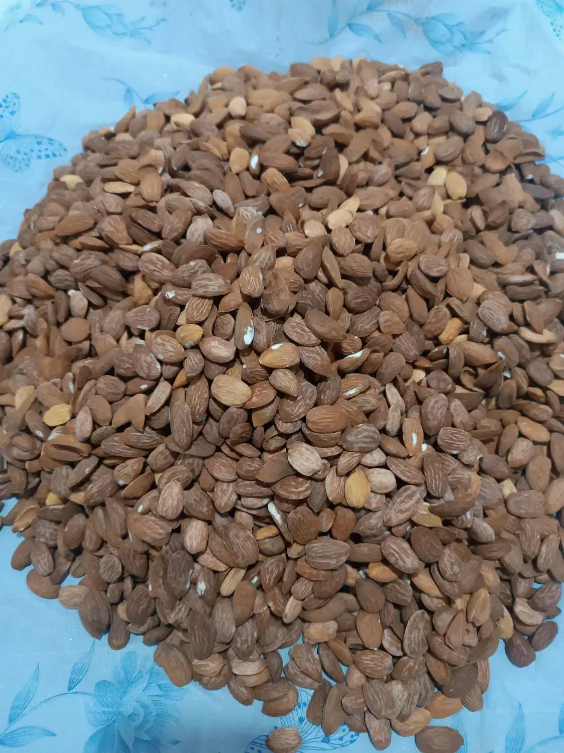 مغز بادام لوکس مجلسی|خوردنی و آشامیدنی|قم, مهدیه|دیوار