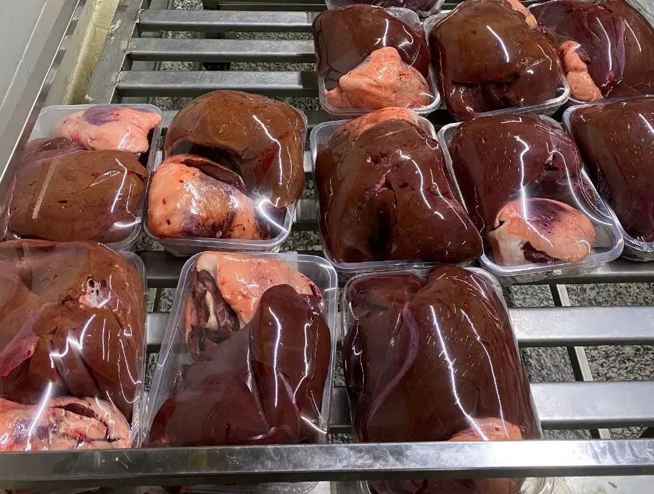 دل و جگر تازه شترمرغ|خوردنی و آشامیدنی|مشهد, فلسطین|دیوار