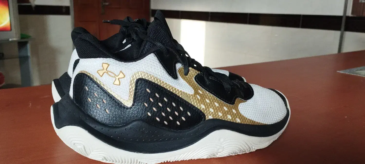 کفش بسکتبال|کیف، کفش، کمربند|آشخانه, |دیوار