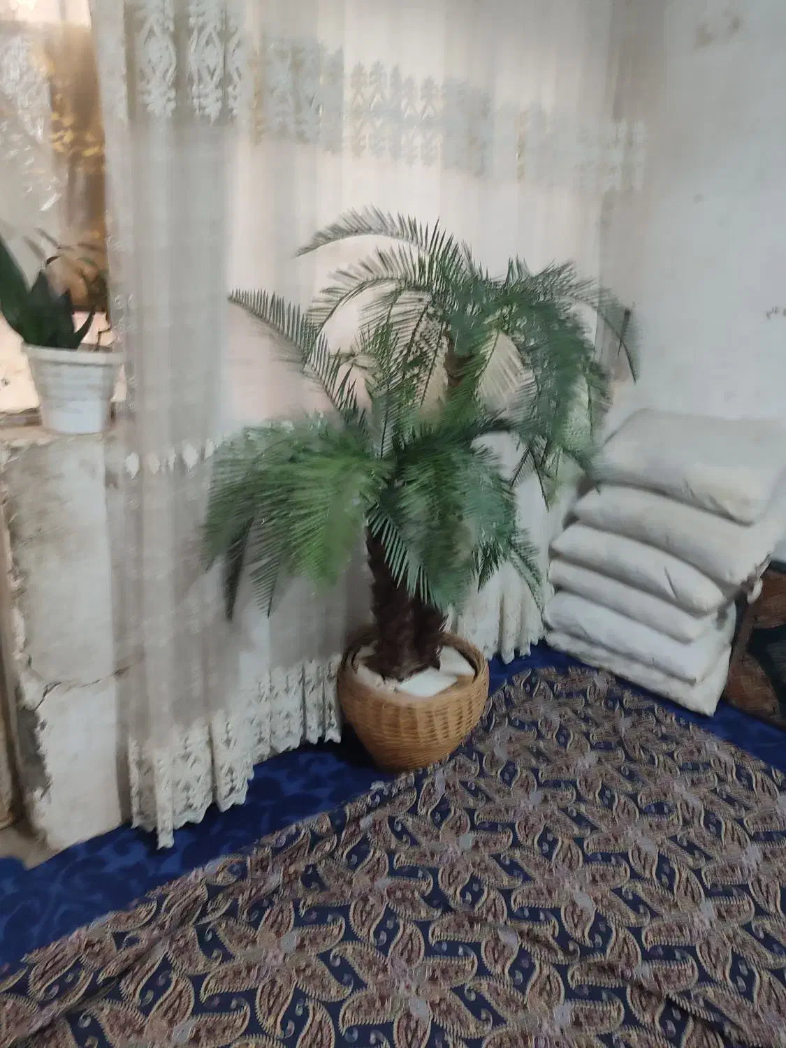 درختچه نخل و گلدان|گل مصنوعی|قم, نیروگاه|دیوار
