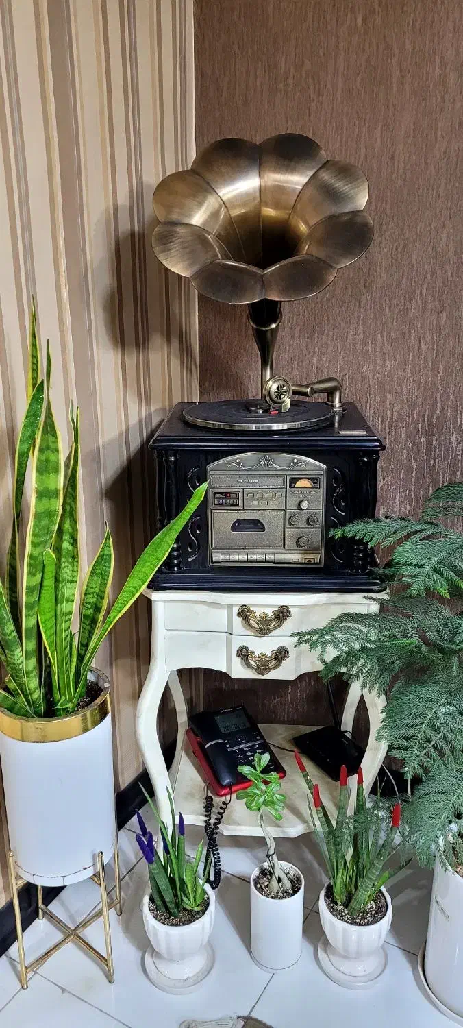 گرامافون والتر|سیستم صوتی خانگی|کهریزک, |دیوار