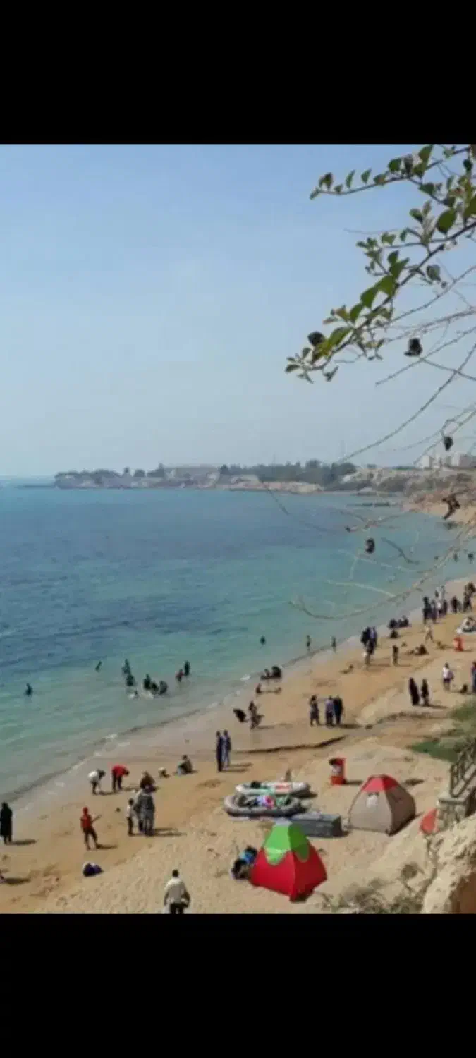 هم سفر|فعالیت داوطلبانه|بندر ماهشهر, |دیوار