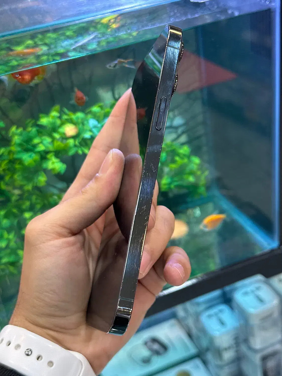 13pro max|موبایل|شیراز, زند|دیوار