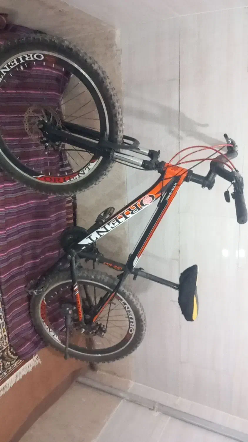 دوچرخه آرنت|دوچرخه، اسکیت، اسکوتر|باقرشهر, |دیوار