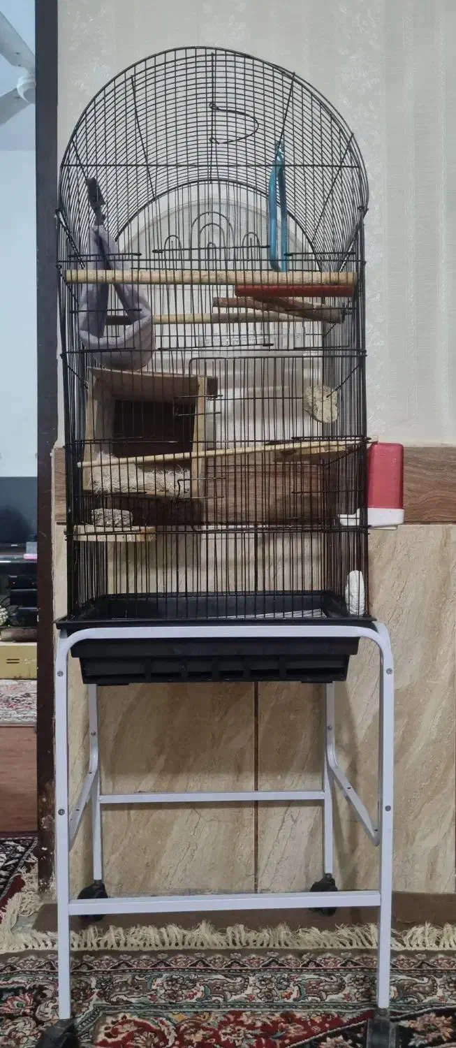 قفس برای فروشی عدد قفس پرنده استفاده نشده درجه یک|لوازم جانبی حیوانات|بندر امام خمینی, |دیوار