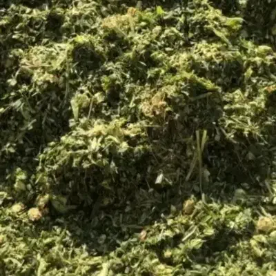 ذرت|عمدهفروشی|اصفهان, باغ نگاره|دیوار