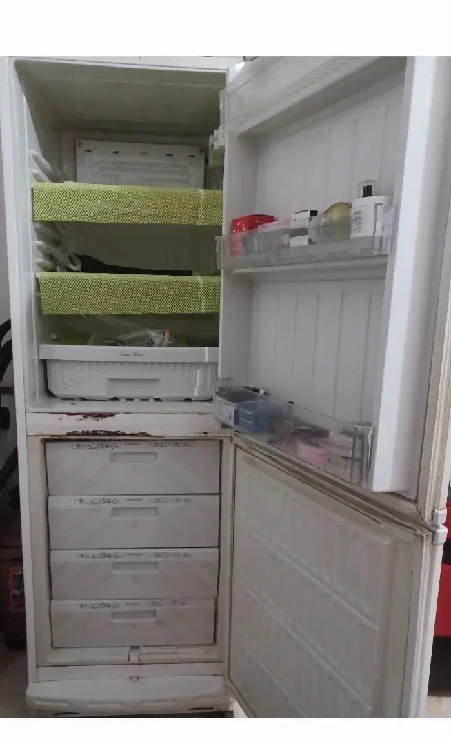 یخجال فریز|یخچال و فریزر|قائن, |دیوار