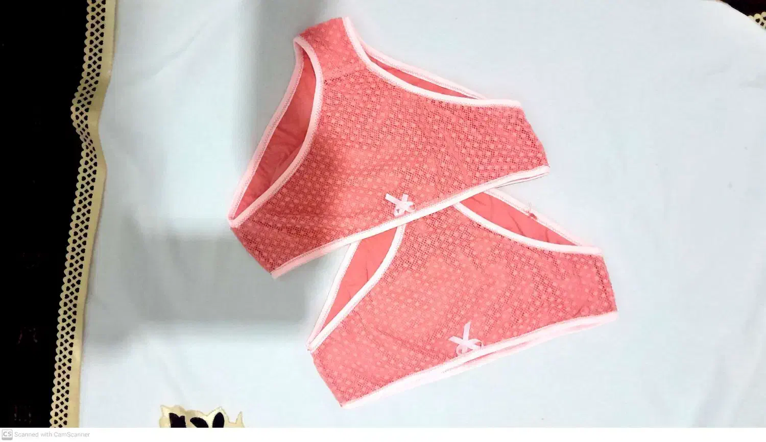 سوتین زنانه|لباس|سرخه, |دیوار