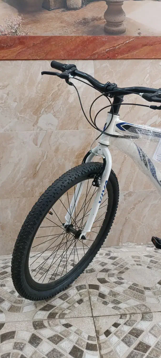 دوچرخه VIVA|دوچرخه، اسکیت، اسکوتر|نیشابور, گنبد سبز|دیوار