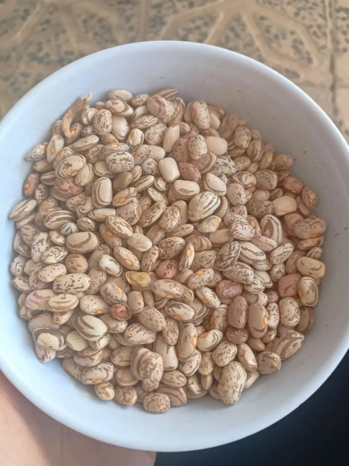 لوبیا چیتی|خوردنی و آشامیدنی|نهاوند, |دیوار