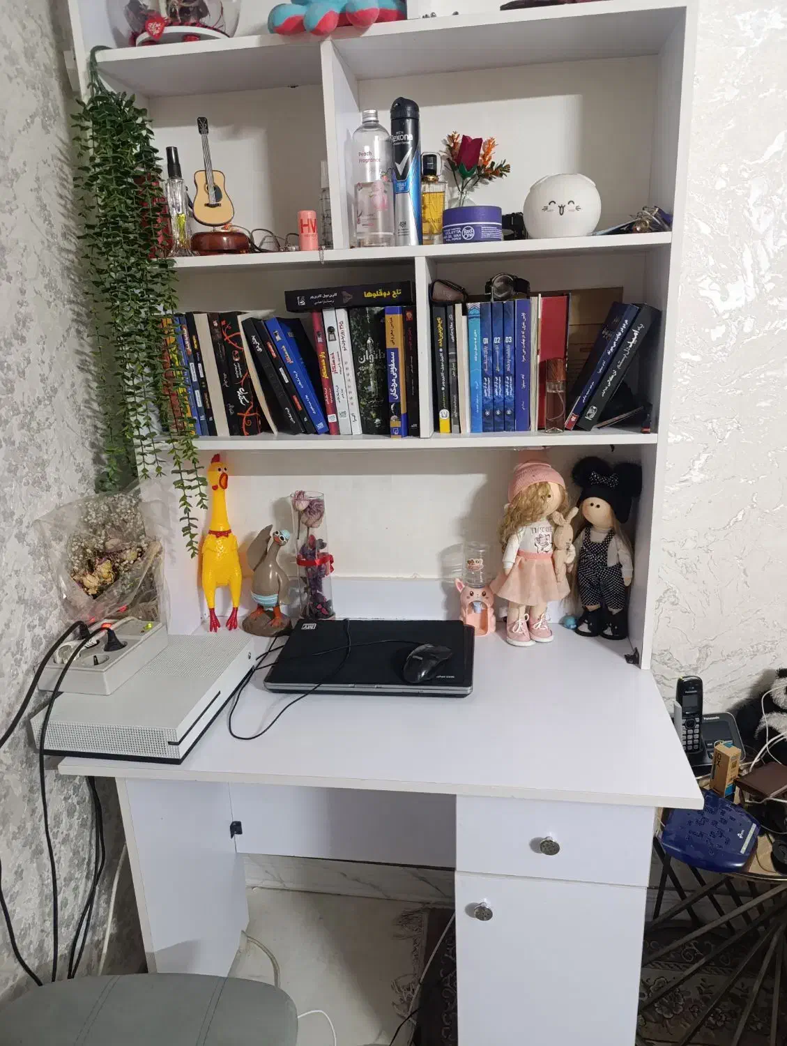 کتابخانه|کتابخانه، شلف، قفسههای دیواری|ری, منصوریه منگل|دیوار