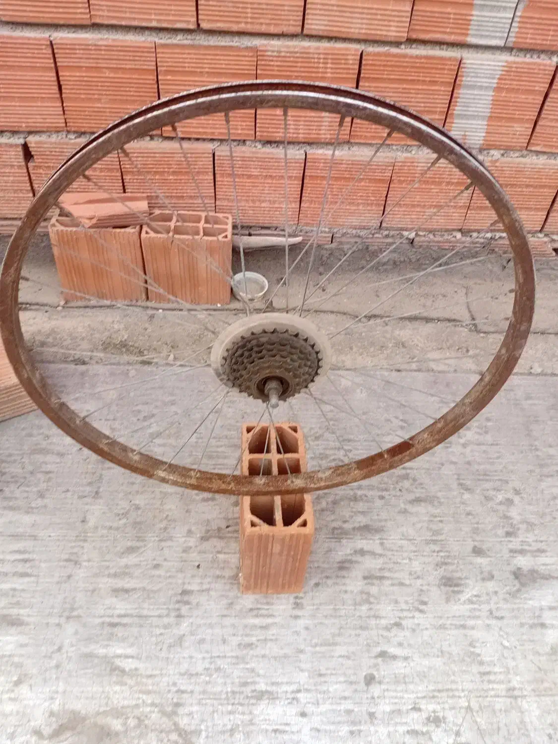 رینگ دوچرخه طوقه دوچرخه|دوچرخه، اسکیت، اسکوتر|گرگان, |دیوار