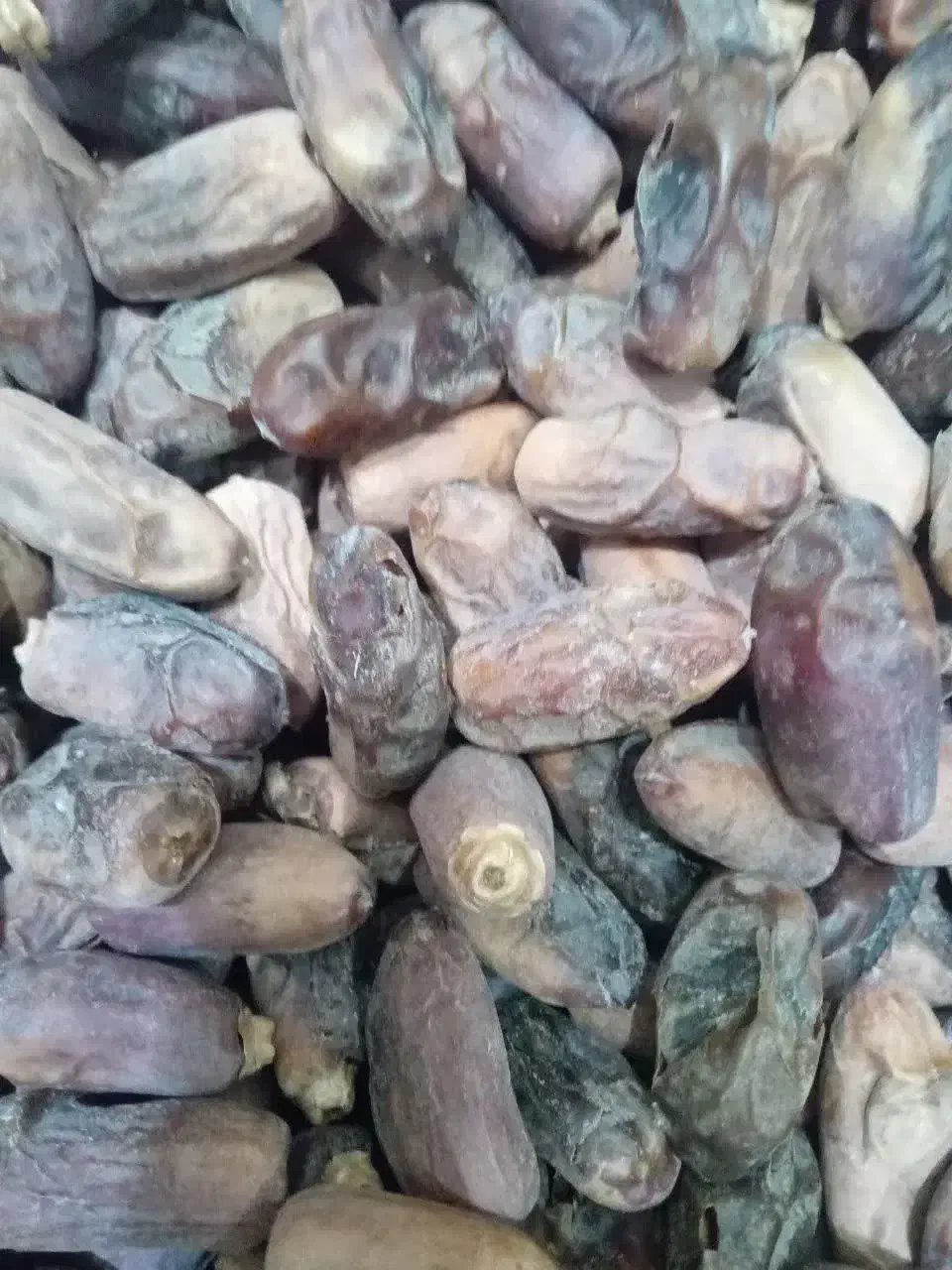 خرما|خوردنی و آشامیدنی|اهواز, ۲۴ متری|دیوار