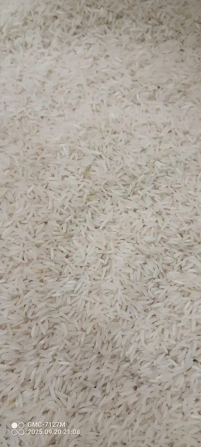 برنج|خوردنی و آشامیدنی|آزادشهر, |دیوار