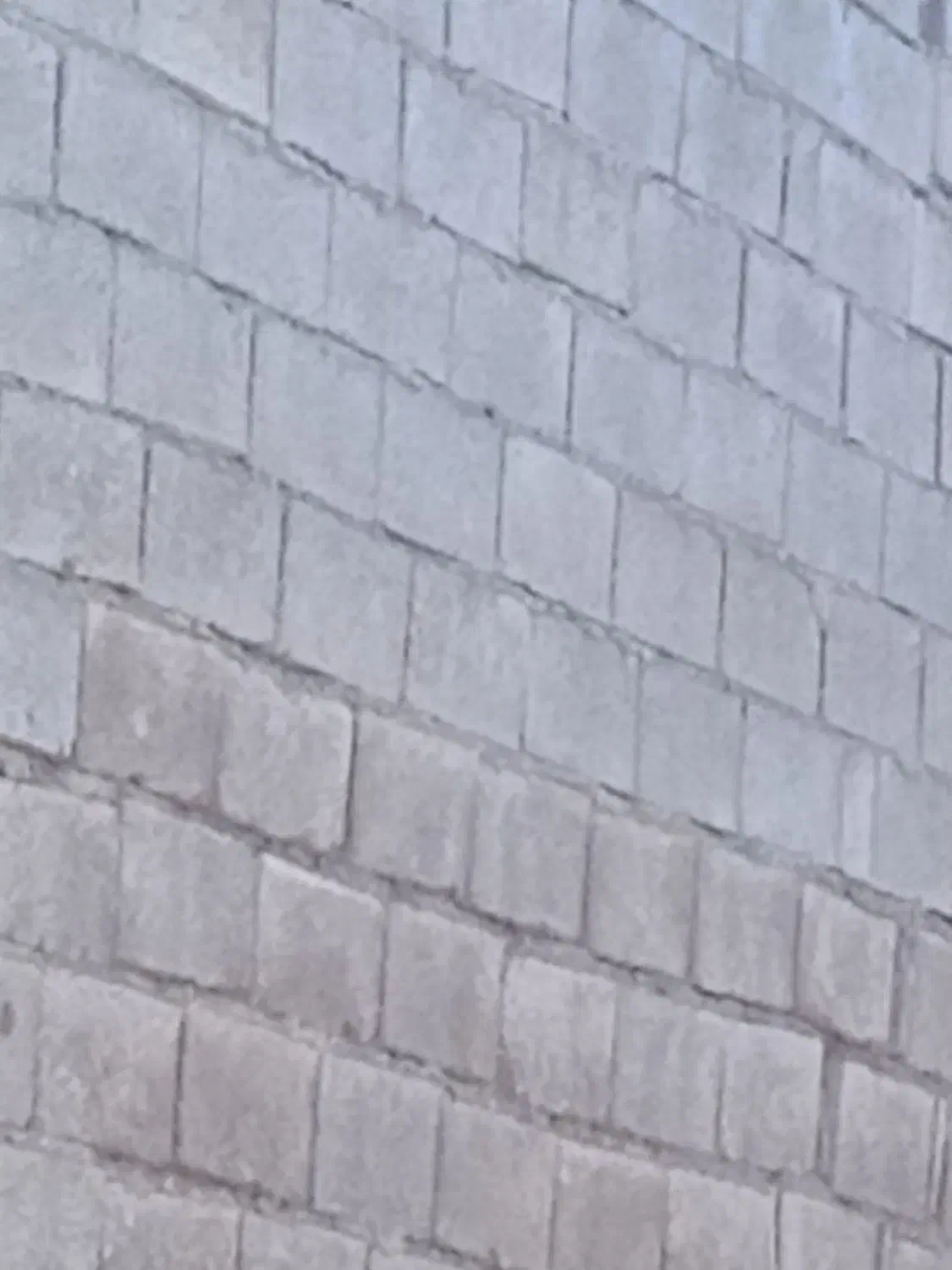 بنا روزمزد|خدمات پیشه و مهارت|چابهار, |دیوار