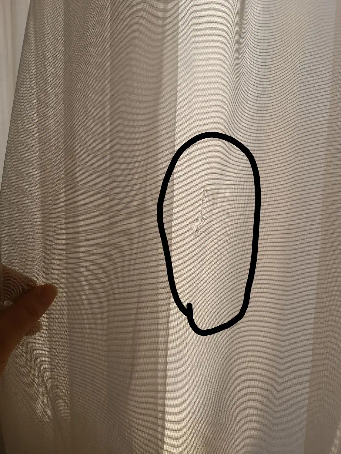 پرده دوازده متر ترک|پرده، رانر، رومیزی|مشهد, جاهد شهر|دیوار