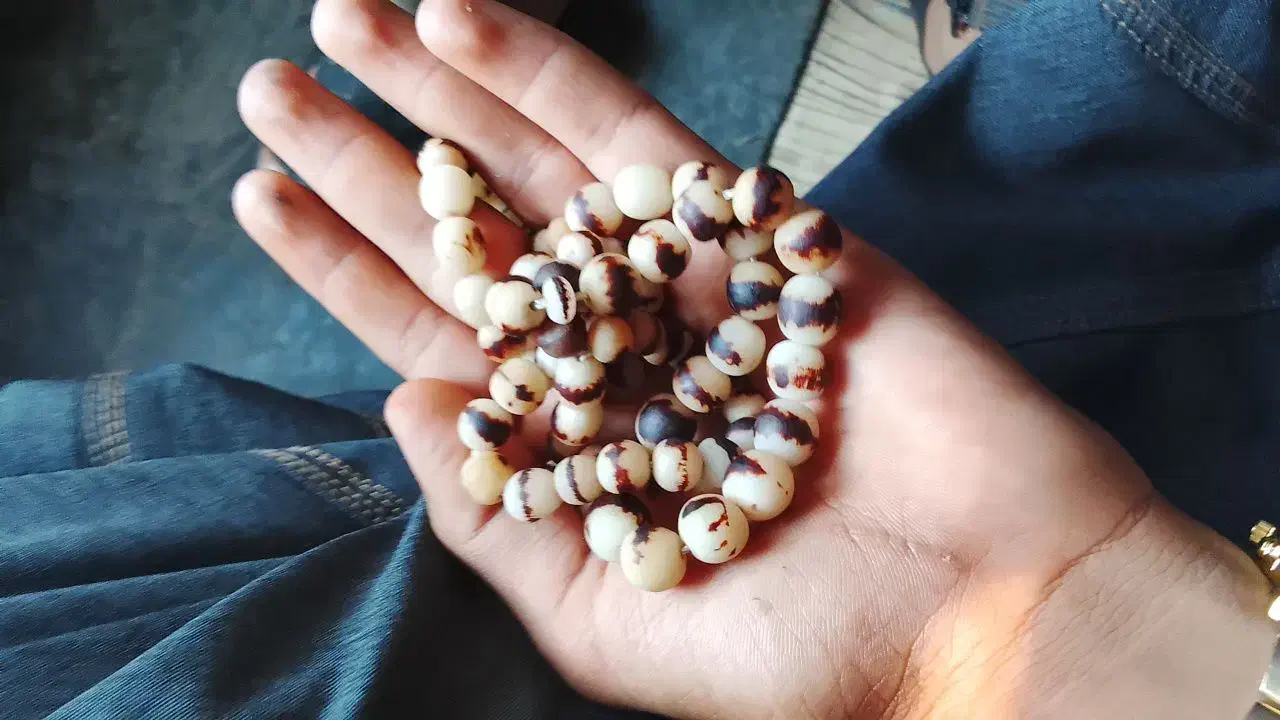 تسبیح هسته خرما|کلکسیون اشیاء عتیقه|جهرم, |دیوار