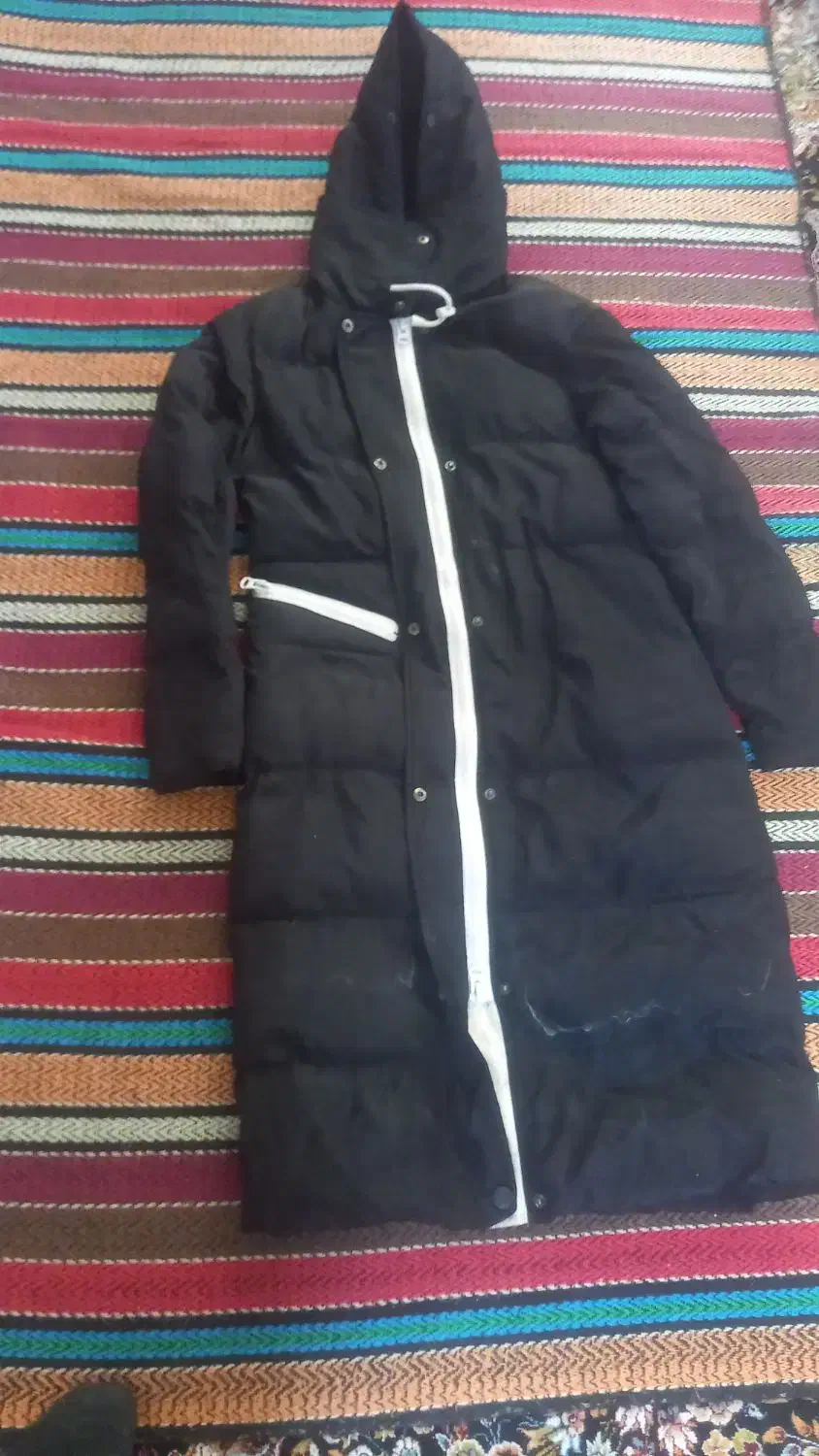 کاپشن بادی دخترانه|لباس|مراغه, |دیوار