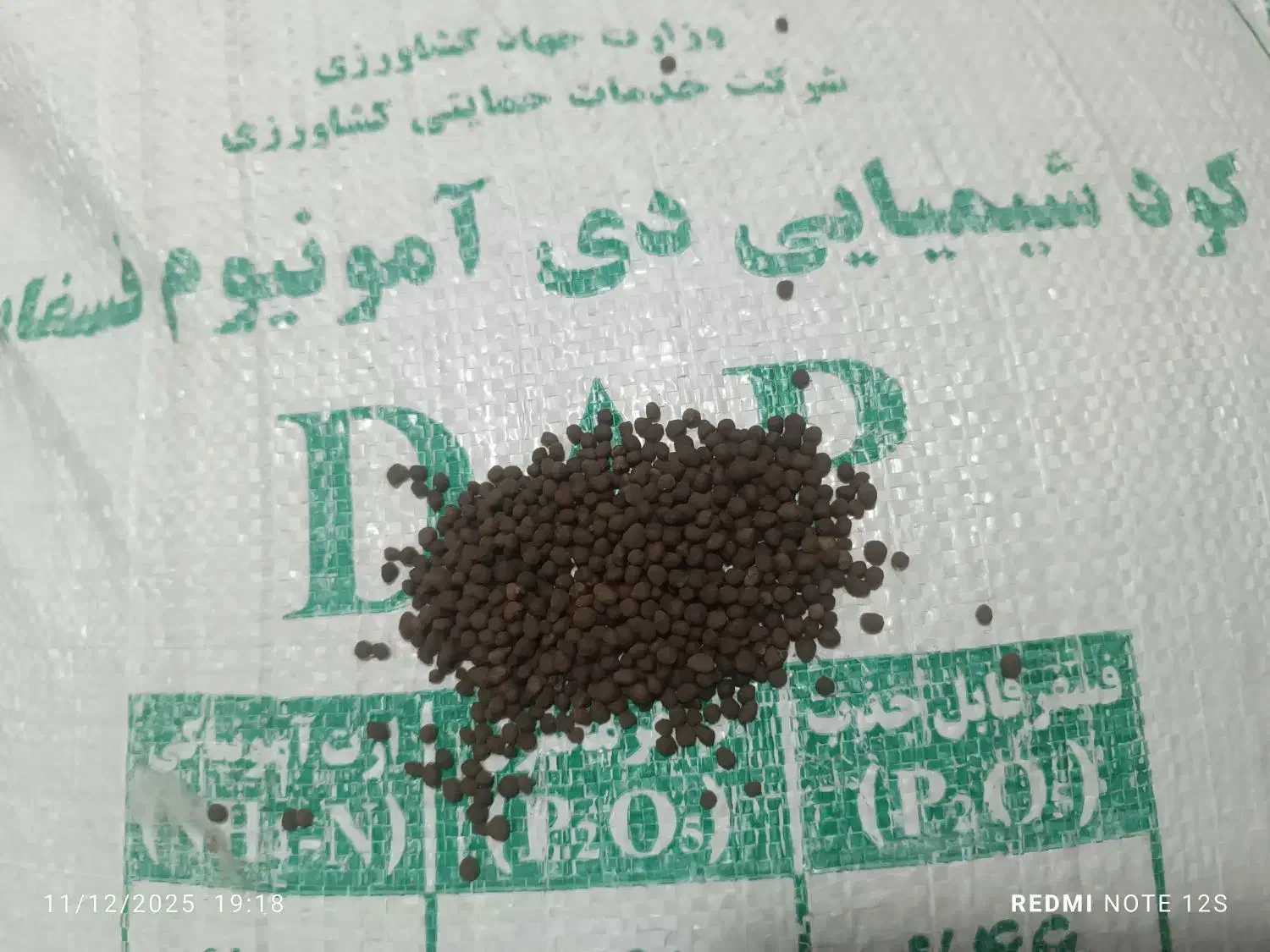 کود دی آمونیوم اصلی امسالی|عمدهفروشی|کلاله, |دیوار