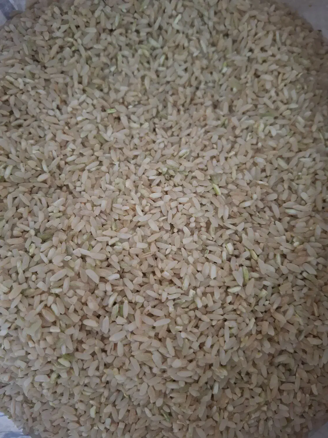 فروش برنج|خوردنی و آشامیدنی|یاسوج, |دیوار