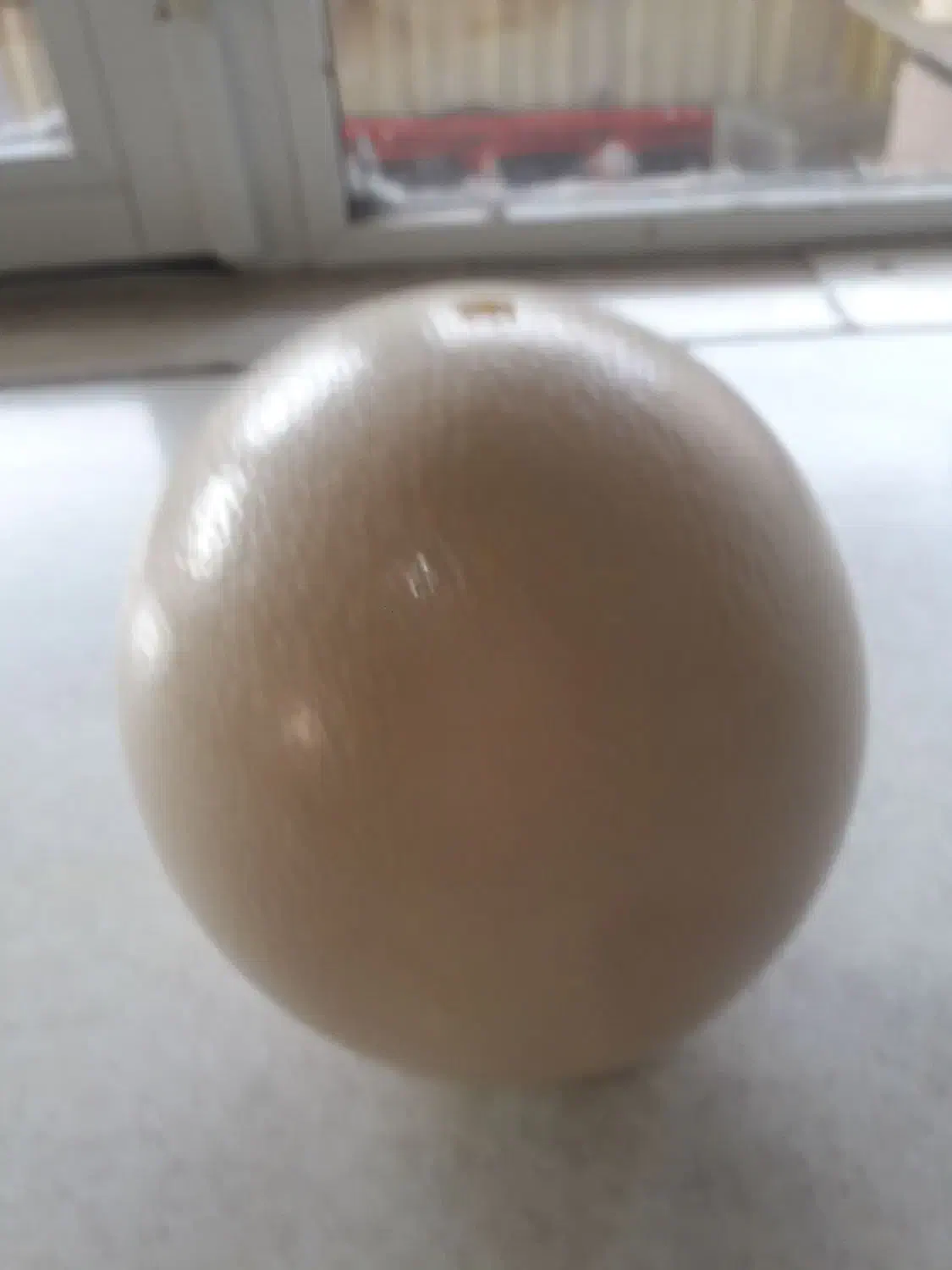 تخم شترمرغ خالی|صنایع دستی و سایر لوازم تزئینی|مشهد, مصلی (کارمندان اول)|دیوار