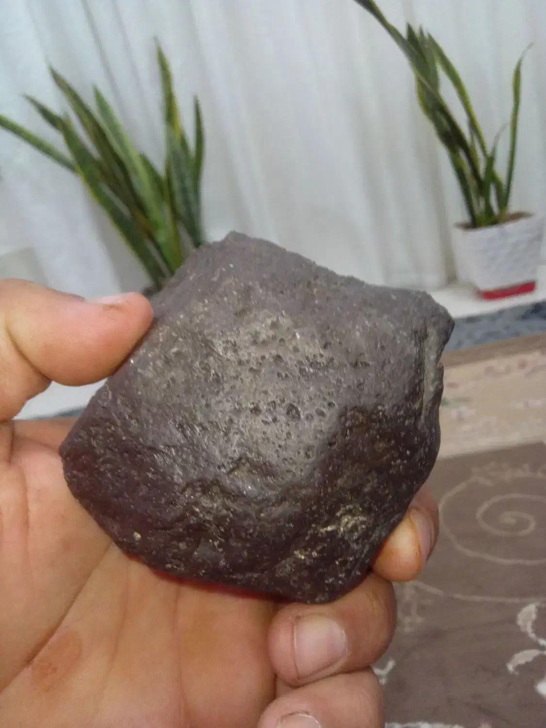 شهاب سنگ|کلکسیون اشیاء عتیقه|تربت‌حیدریه, پائین ولایت|دیوار