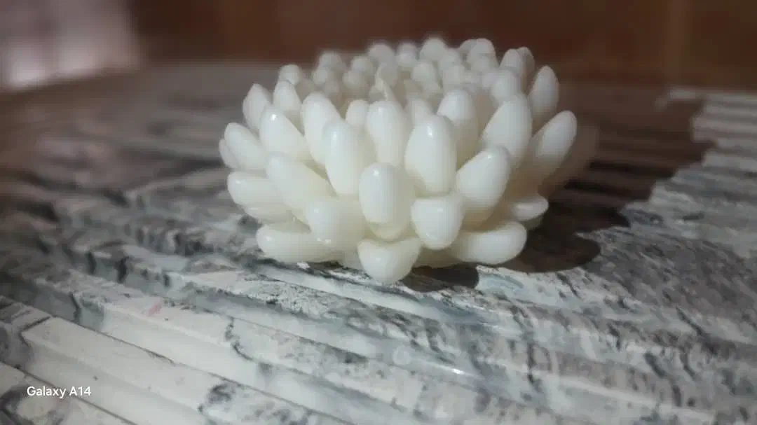 شمع داودی|صنایع دستی و سایر لوازم تزئینی|تهران, مجیدیه|دیوار