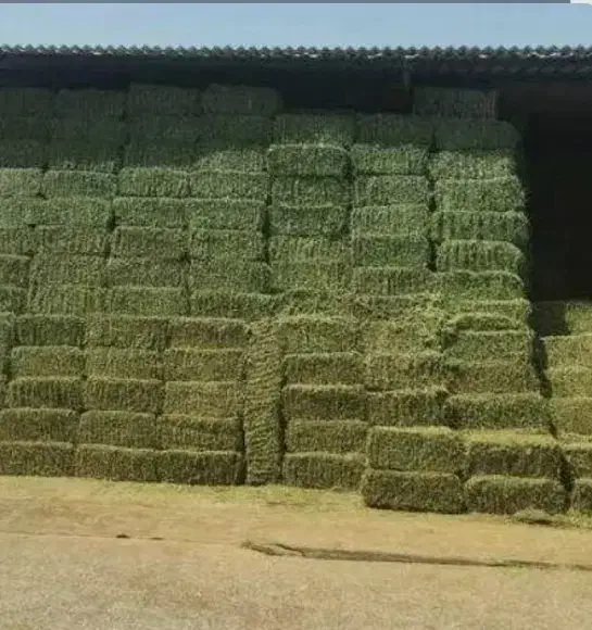 پرس یونجه|عمده‌فروشی|بجنورد, |دیوار