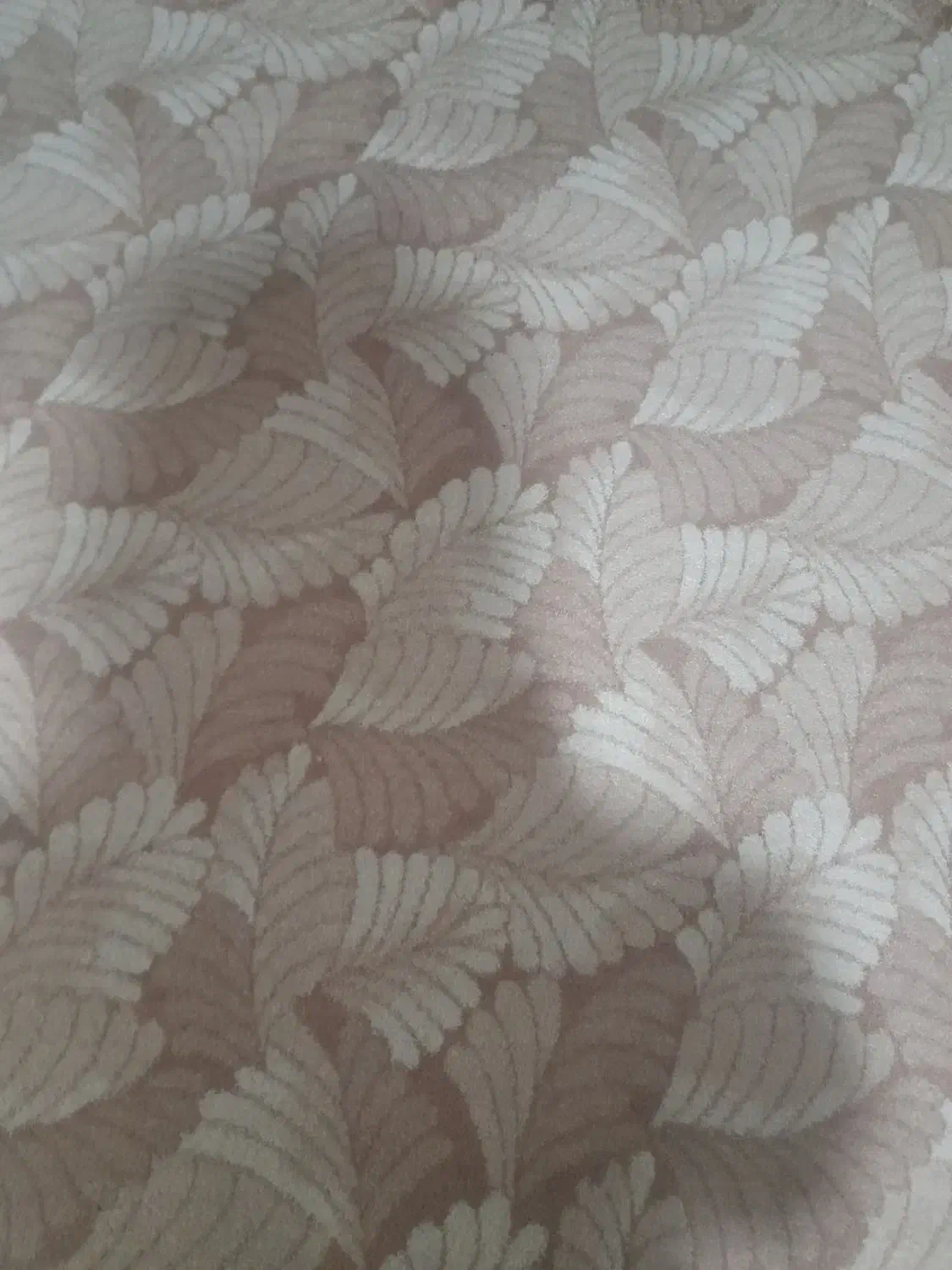 پا لازموکت ۶ متری|موکت|خرمدره, |دیوار