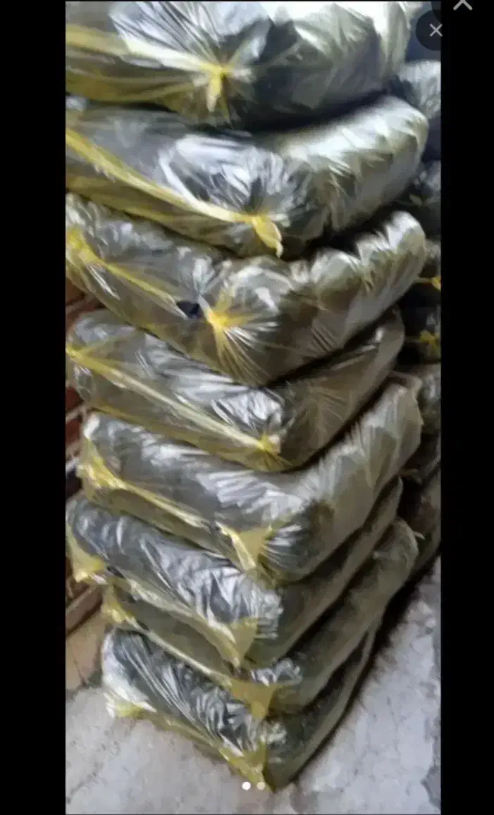 زغال|کوهنوردی و کمپینگ|بروجرد, |دیوار