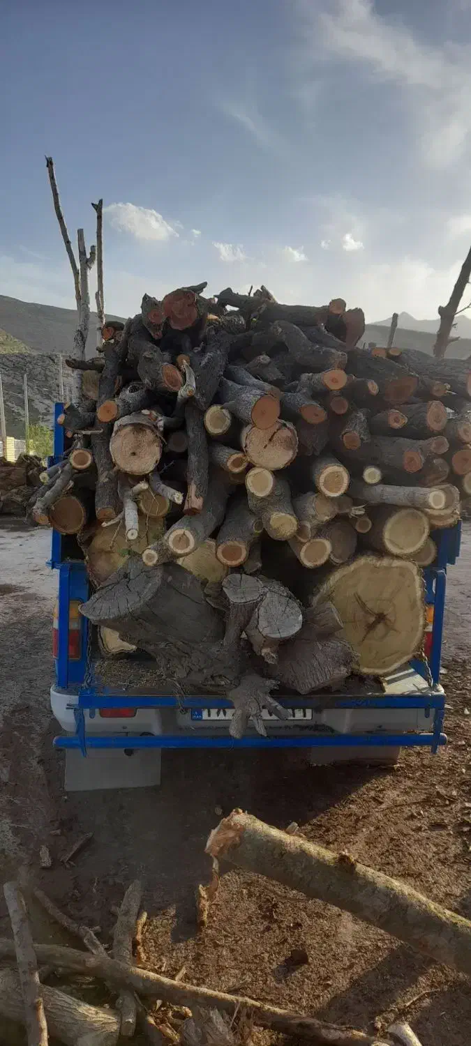 خریدچوب باغات|خدمات باغبانی و درختکاری|گلبهار, شهر جدید گلبهار|دیوار