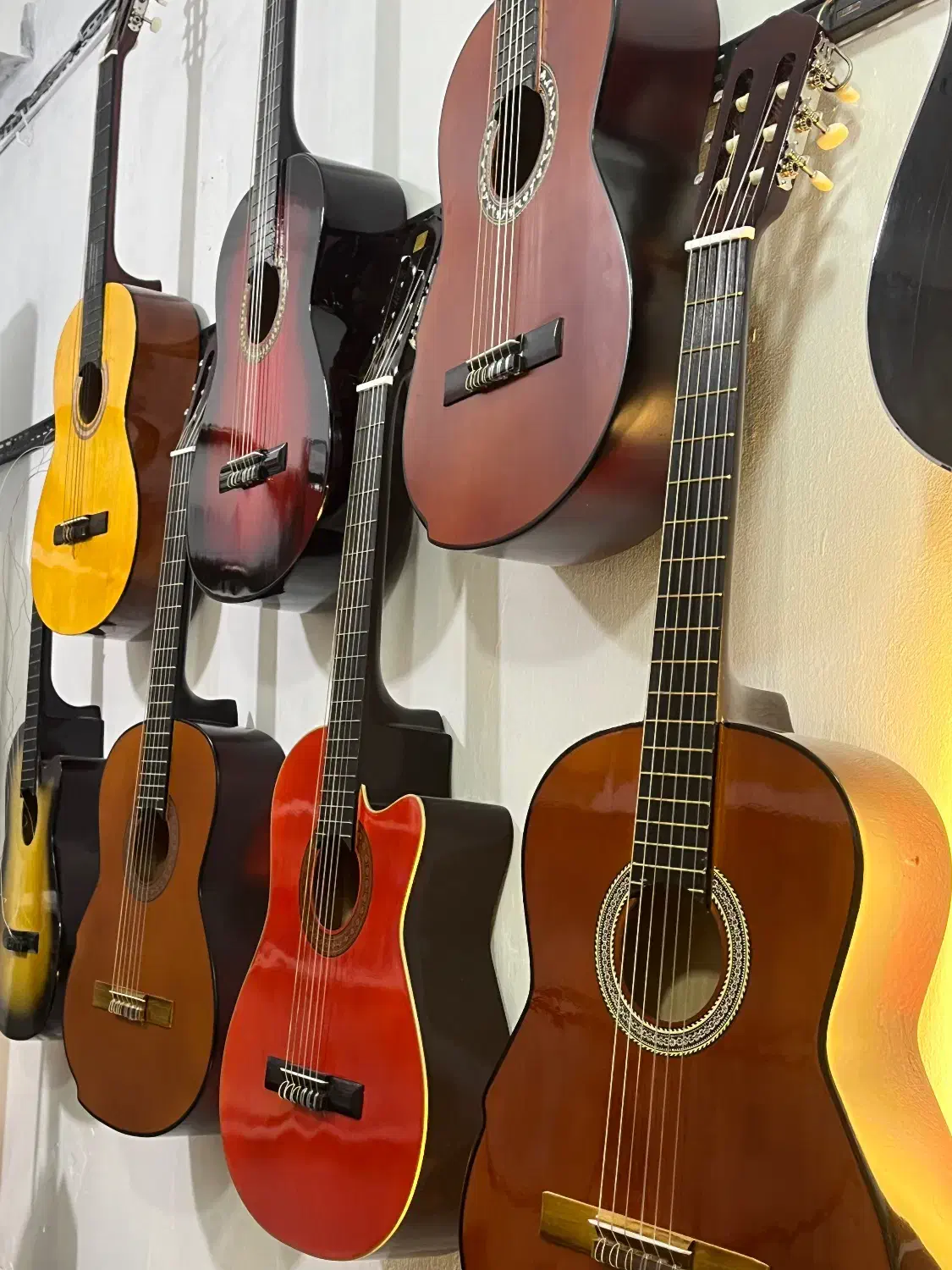 گیتار دیاموند با رنگبندی متنوع|گیتار، بیس، امپلیفایر|گنبد کاووس, |دیوار