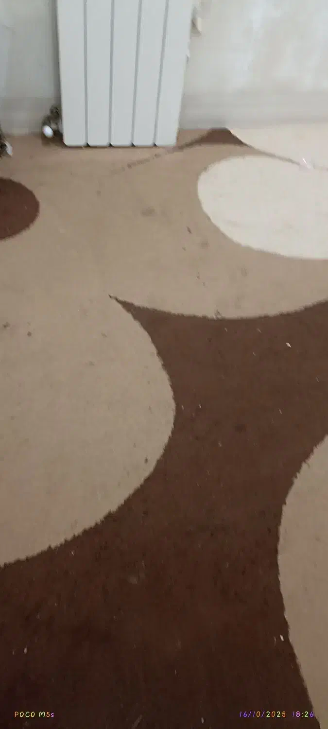 قالی 9متری|فرش|بوشهر, |دیوار