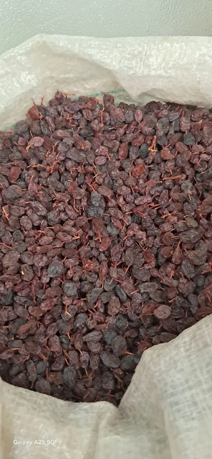 کشمش پلویی امسال|خوردنی و آشامیدنی|قدس, شهرقدس|دیوار