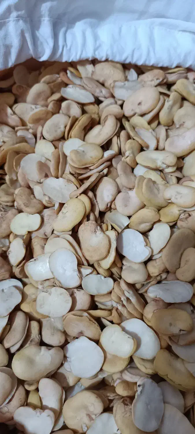 باقلا باقله|خوردنی و آشامیدنی|شیراز, شهرک مخابرات|دیوار