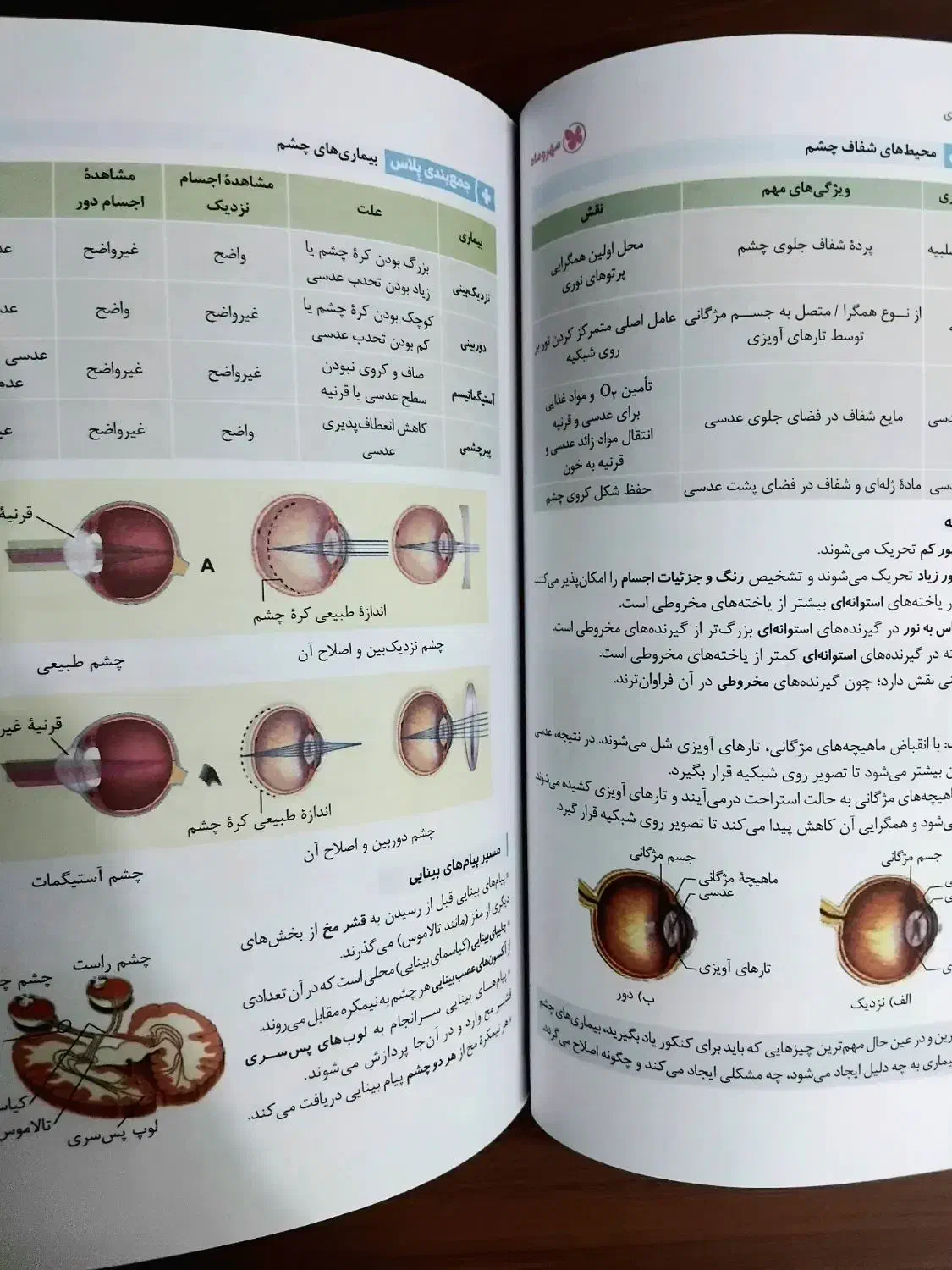 جمع بندی کامل زیست شناسی دهم، یازدهم و دوازدهم|کتاب و مجله آموزشی|پرند, فاز ۴|دیوار
