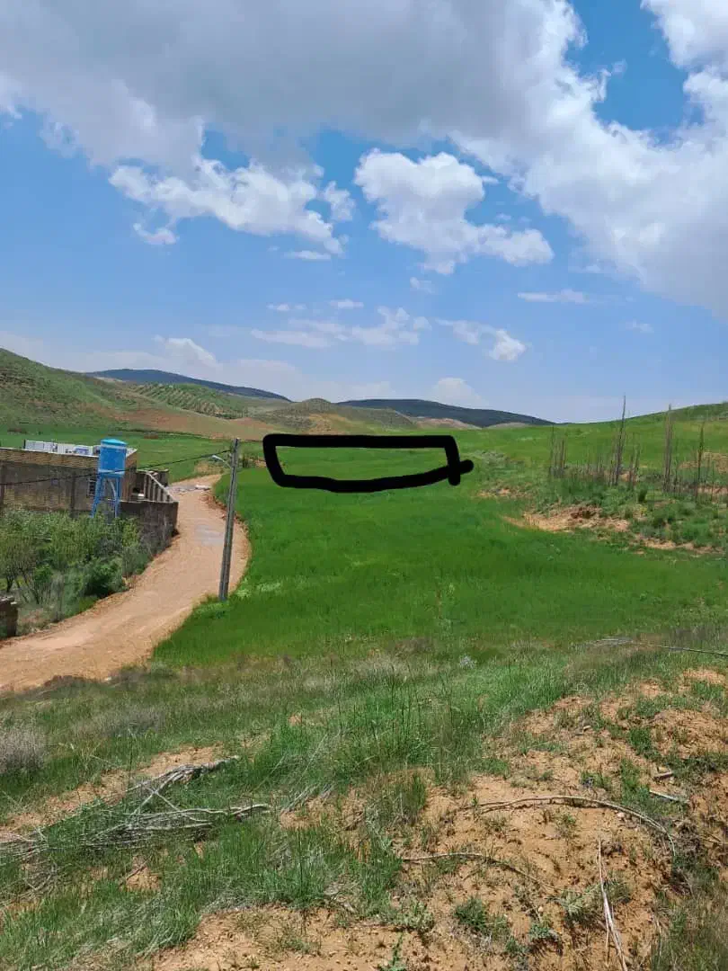 زمین باغ شهر|فروش زمین و ملک کلنگی|شیراز, کودیان|دیوار