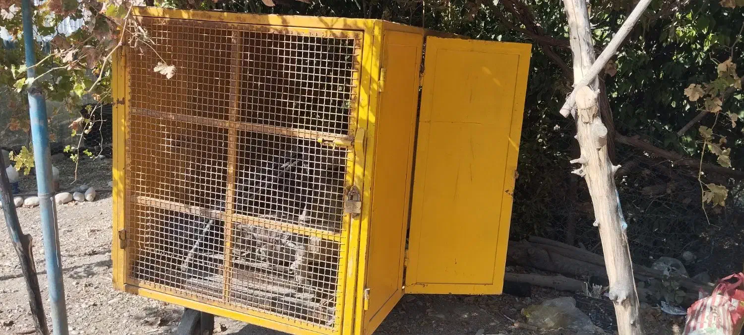 جت واش صنعت1000بار و500بار|ابزارآلات|تهران, امام زاده حسن|دیوار