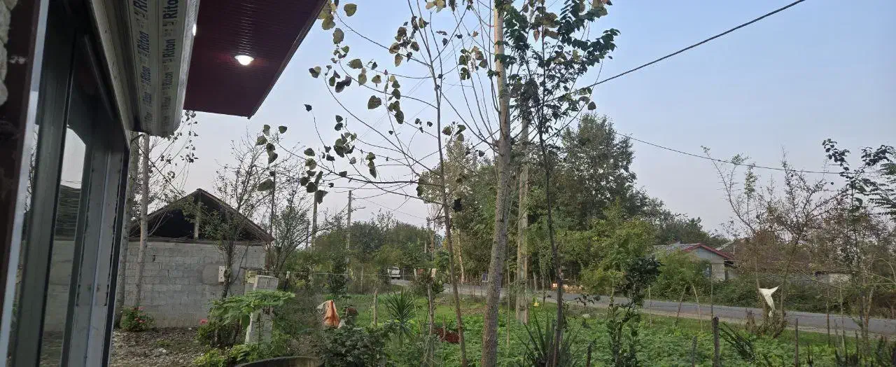 رهن کامل یک باب مغازه واقع در ماسال|اجارهٔ دفتر کار، اتاق اداری، مطب|ماسال, |دیوار