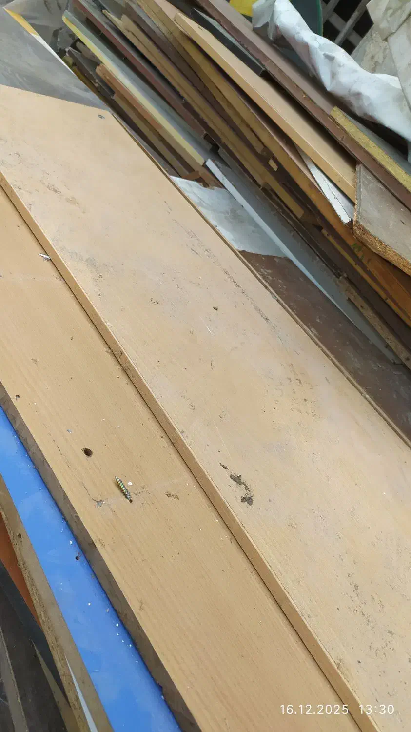 نوپان 16 میل|مصالح و تجهیزات ساختمان|قم, شهر قائم|دیوار