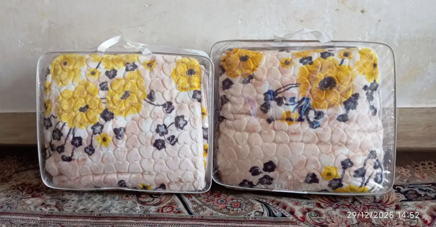 سگه|سگ|سیرجان, |دیوار