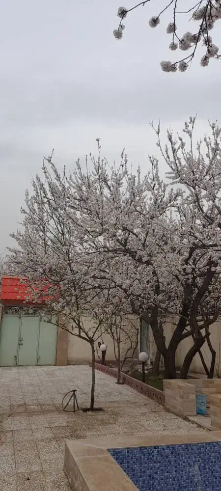 باغچه ۴۰۰ متری اسفند آباد|فروش خانه و ویلا|تهران, سجاد|دیوار