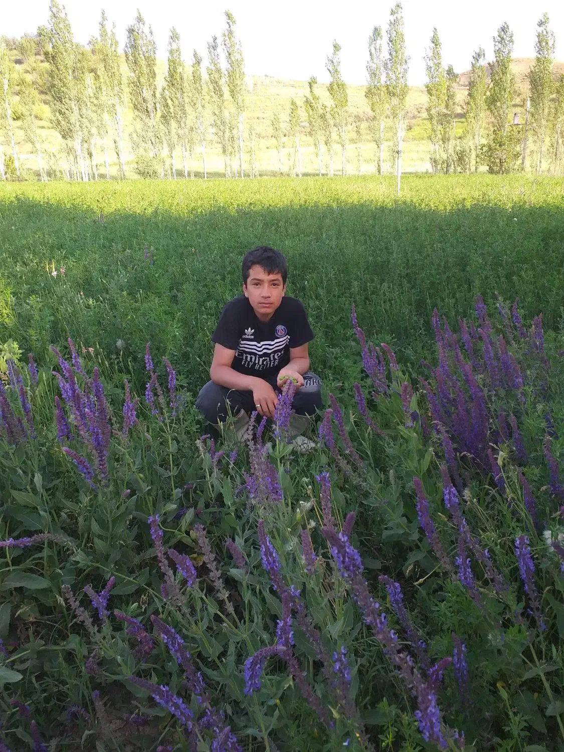 فروش ۲هکتارزمین کشاورزی روستای صیدان|فروش دفتر صنعتی، کشاورزی، تجاری|حسین آباد, |دیوار