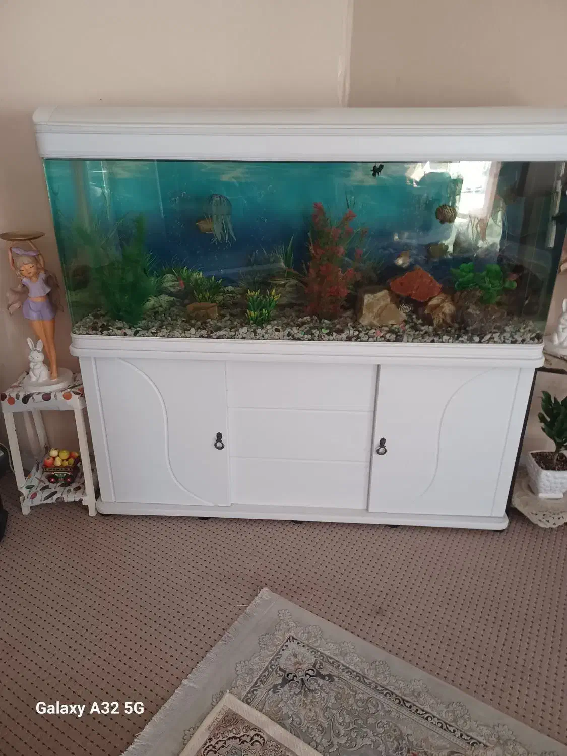 سلام یک عدد شیشه آکواریوم بفروش میرسد|ماهی|بوشهر, |دیوار