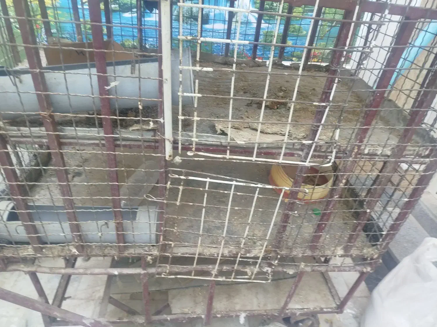 گاری قفس ضد گلوله|لوازم جانبی حیوانات|زاهدان, |دیوار