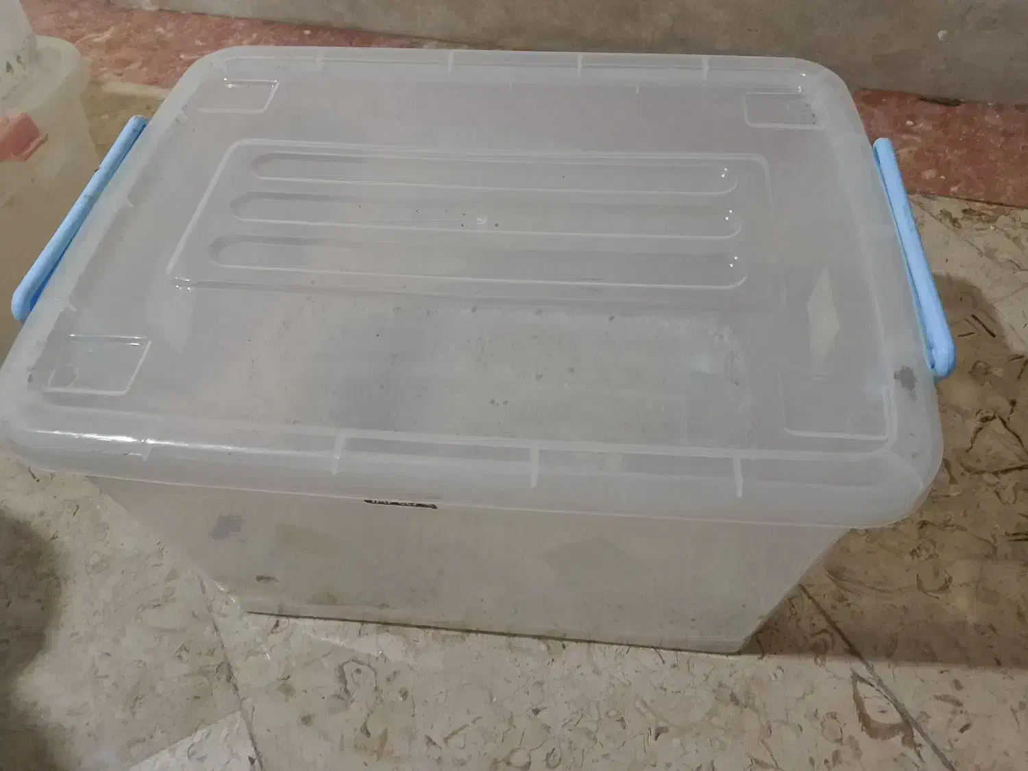 باکس شفاف جانونی|ظروف نگهدارنده، پلاستیکی، یکبارمصرف|تهران, شیوا|دیوار