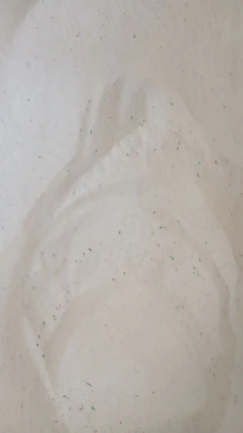 پودر ماشین لباسشویی و دستی|مواد شوینده و دستمال کاغذی|مشهد, خواجه ربیع|دیوار