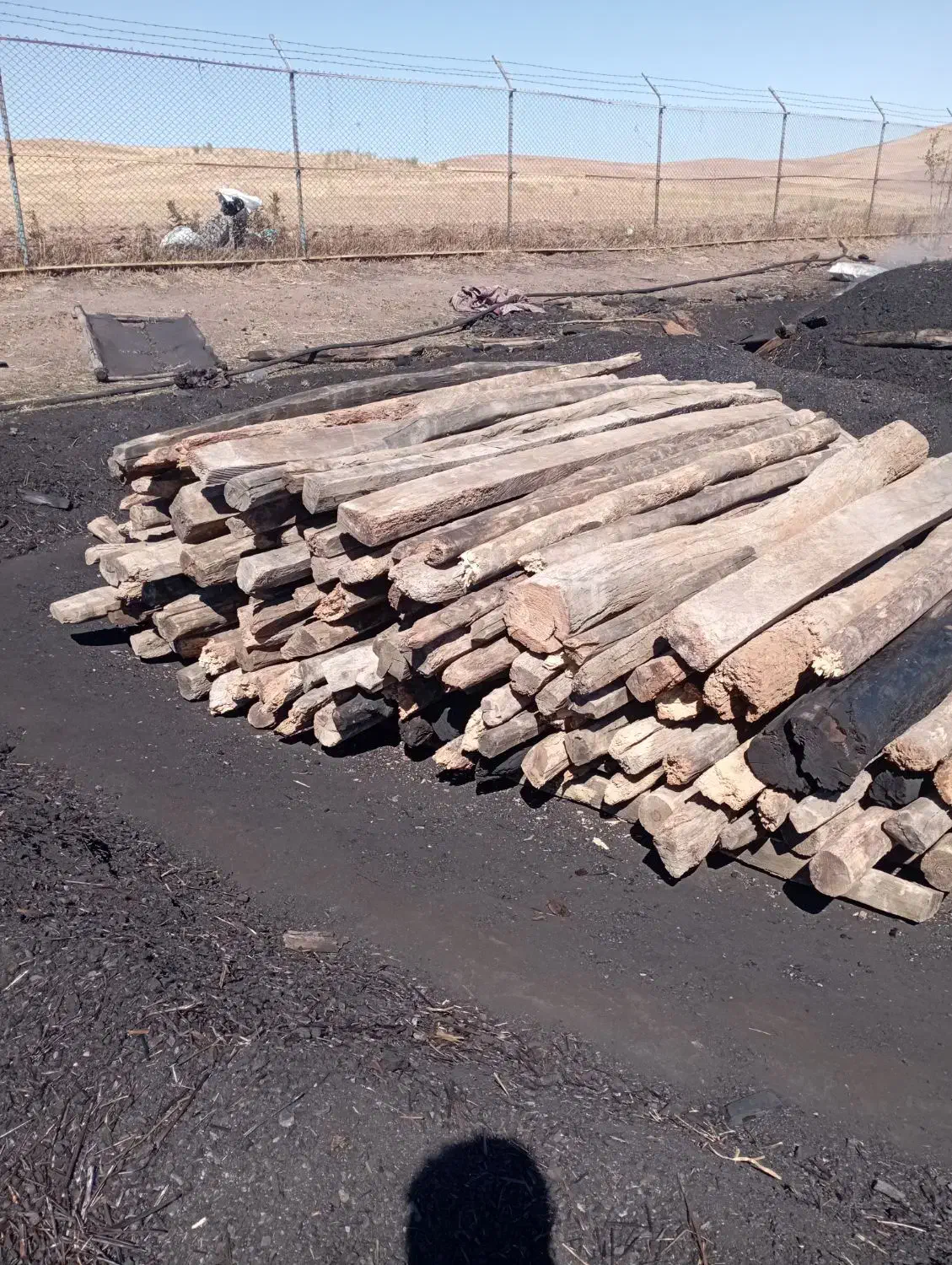 تولیدی زغال کبابی صنعتی و سنتی|عمدهفروشی|اردبیل, |دیوار