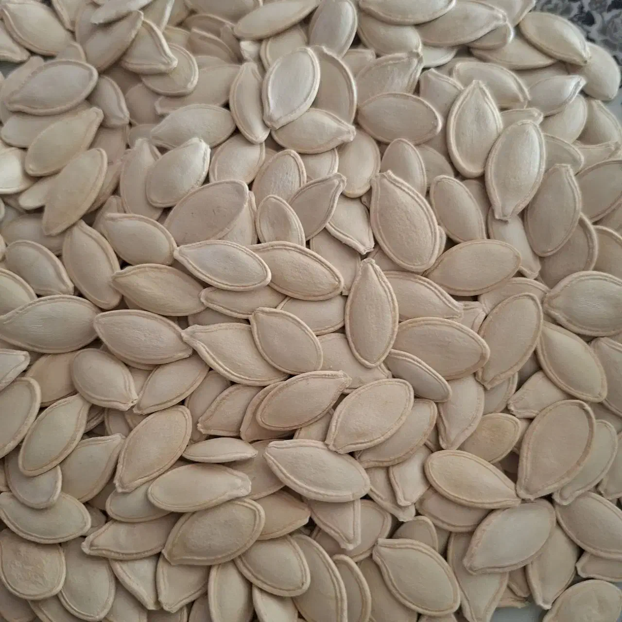 تخمه کدو اعلاء خام|خوردنی و آشامیدنی|قم, شاه سید علی|دیوار